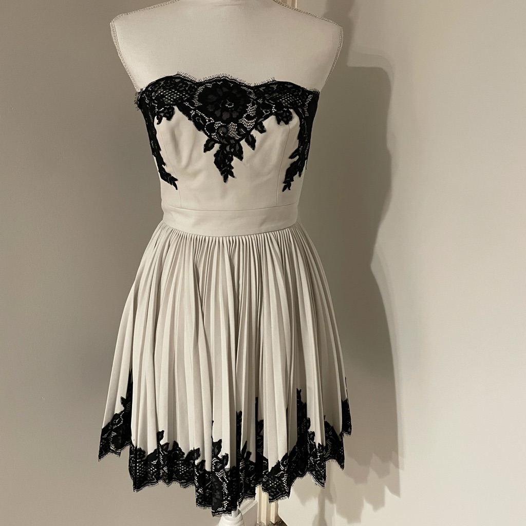 Robert Rodriguez Size 2 Gorgeous Dress